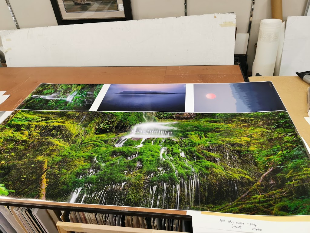 Vladimir Kostka Photography | 3306 Cornwall St, Port Coquitlam, BC V3B 3G9, Canada | Phone: (604) 710-8089