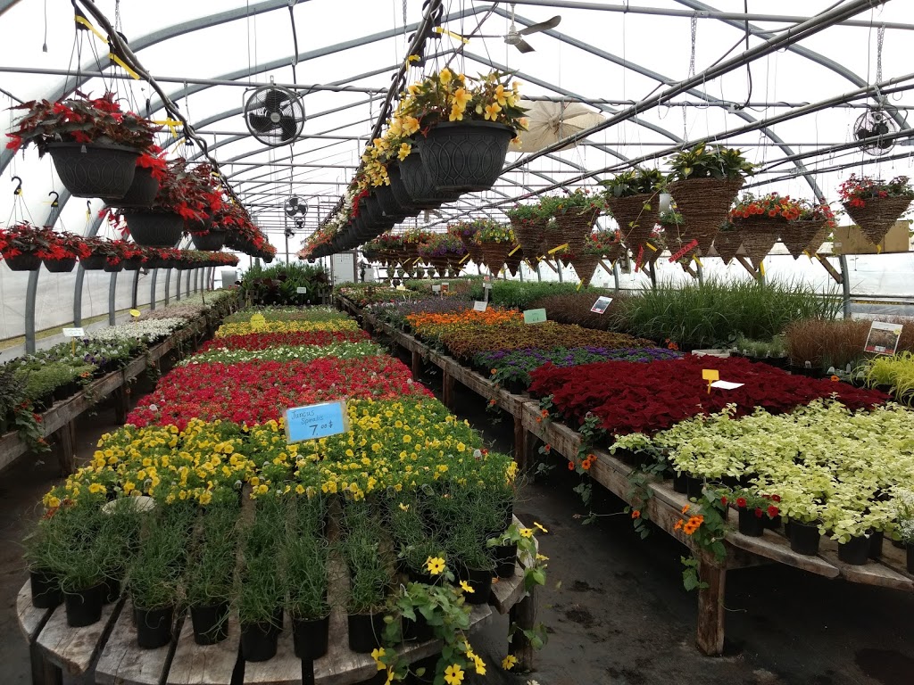 Les fleurs de lîle | 2250 Chemin Royal, Sainte-Famille, QC G0A 3P0, Canada | Phone: (418) 829-0344