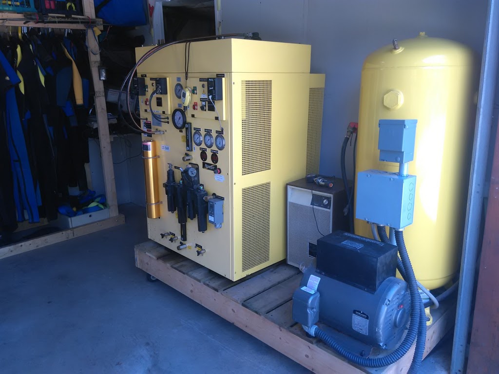 Neptunes Locker Dive Shop | 1390 Champlain Rd, Tiny, ON L9M 0C1, Canada | Phone: (705) 937-2172