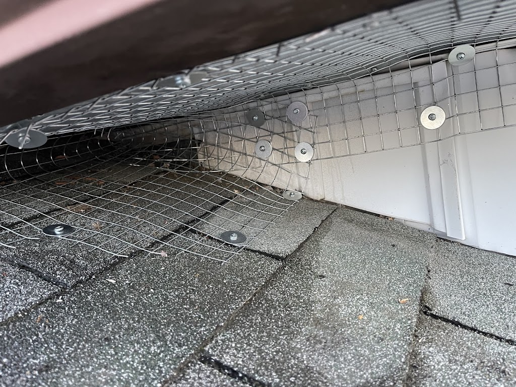 North Star Pest Control Bradford | 26 Memorial Ct, Bradford West Gwillimbury, ON L6Z 4H5, Canada | Phone: (416) 540-2694