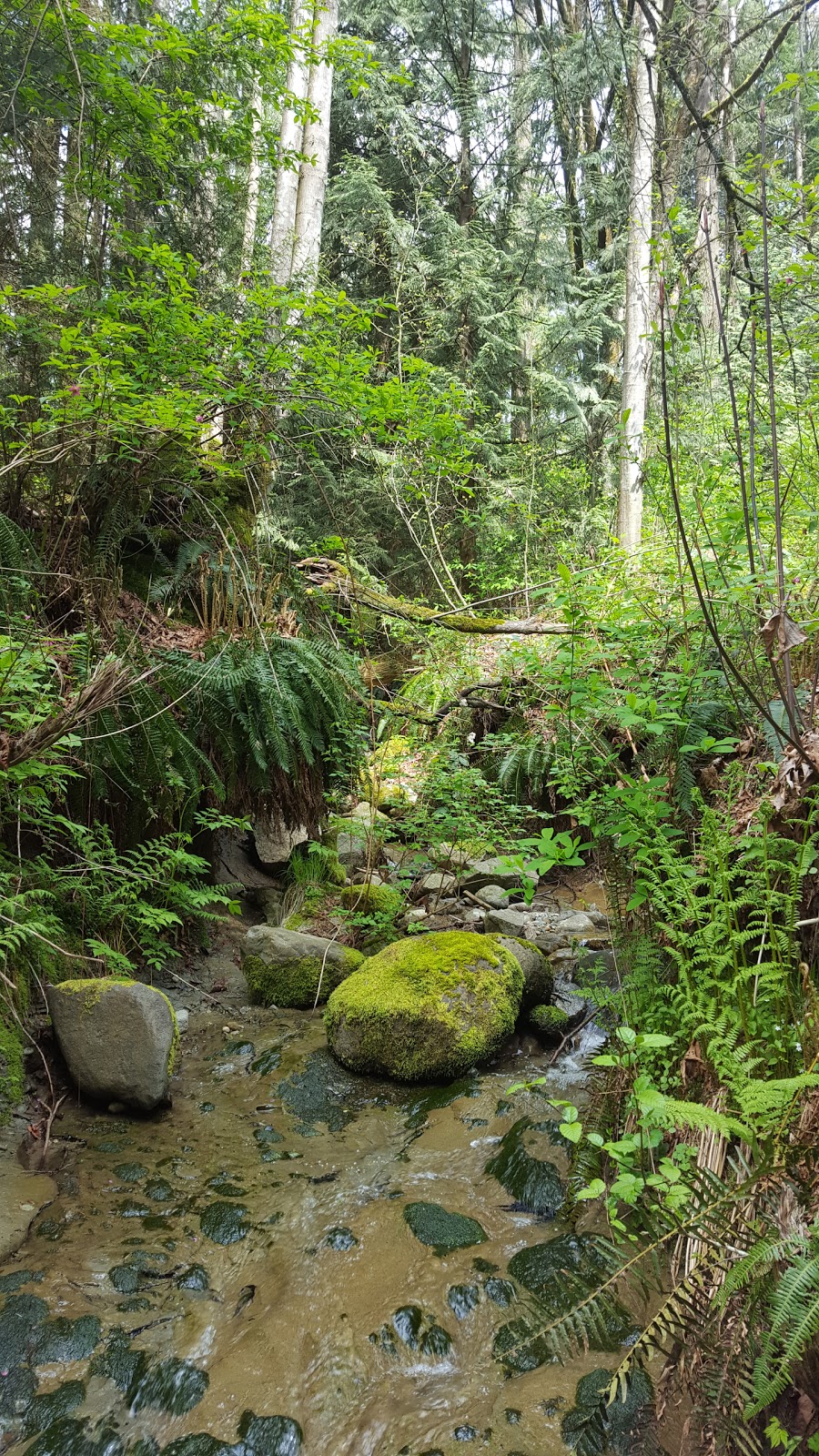 Forest Grove Park | 8505 Forest Grove Dr, Burnaby, BC V5A 4H5, Canada | Phone: (604) 294-7450