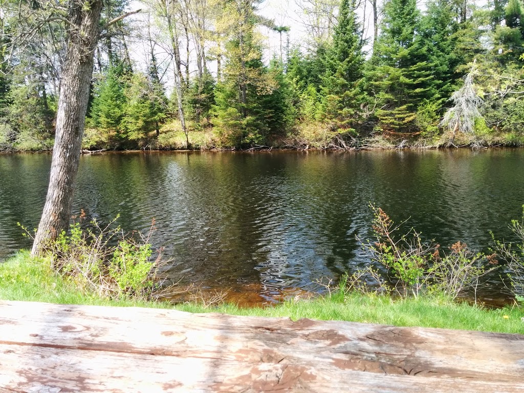 Bancroft Sport & Marine Ltd | 206 Hastings St N, Bancroft, ON K0L 1C0, Canada | Phone: (613) 332-1830