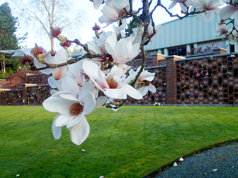 First Memorial Funeral Services | 4725 Falaise Dr, Victoria, BC V8Y 1B4, Canada | Phone: (250) 658-5244