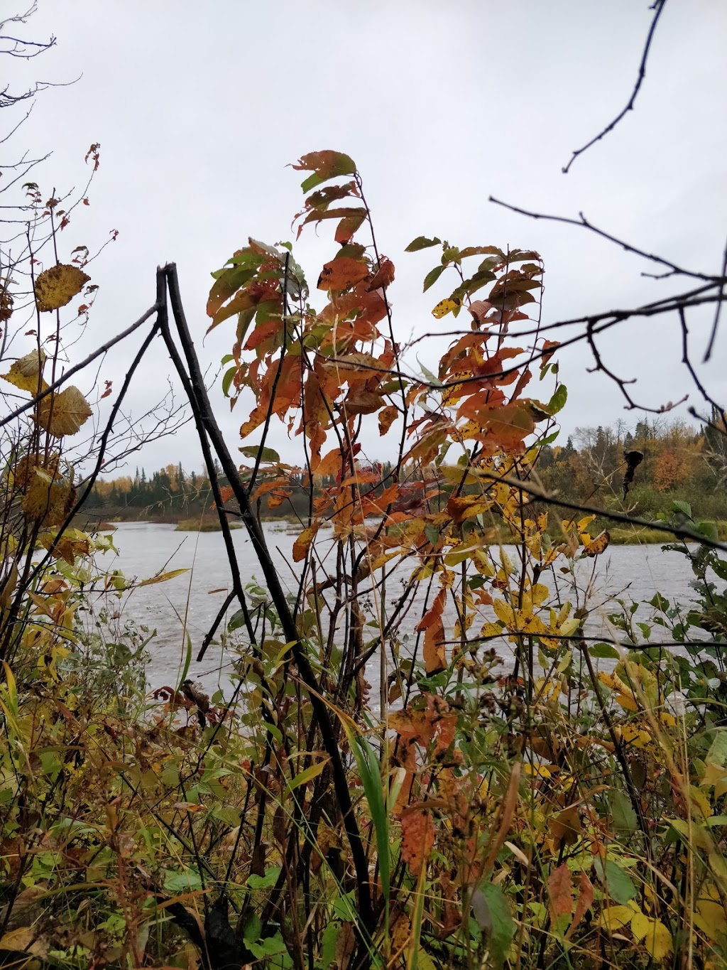 Pigeon River Provincial Park | High Falls Trail, South Gillies, ON P0T 2V0, Canada | Phone: (807) 473-9231