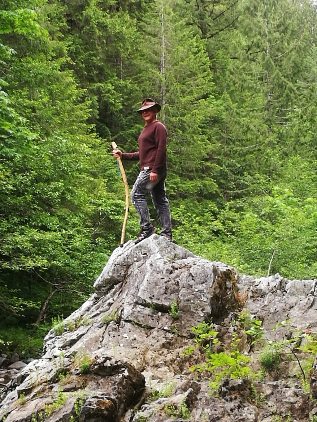 Kingburne Park | 2386 Gray Ln, Cobble Hill, BC V0R 1L5, Canada | Phone: (250) 746-2620