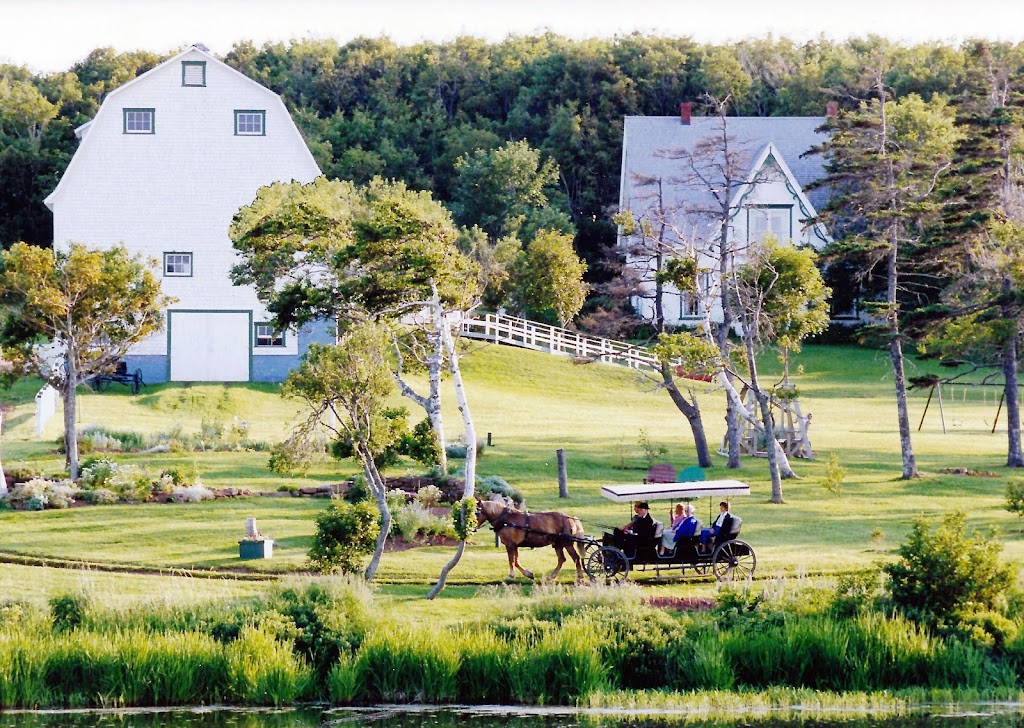 Matthews Carriage Ride | 4542 PE-20, Park Corner, PE C0B 1M0, Canada | Phone: (800) 665-2663