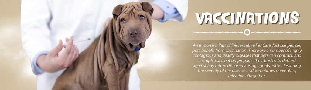 Glenn Mountain Animal Hospital | 2596 McMillan Rd #105, Abbotsford, BC V3G 1C4, Canada | Phone: (604) 852-3030