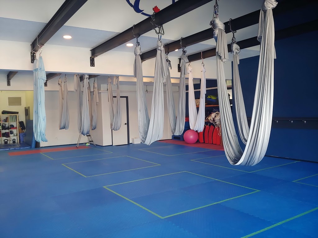 So Aerial Fit & Yoga | 8430 196 St, Langley City, BC V2Y 1Z4, Canada | Phone: (604) 440-5353