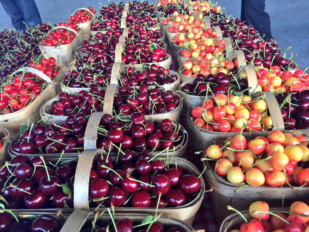 Bizjak Farms | 3320 First Ave, Vineland Station, ON L0R 2E0, Canada | Phone: (289) 213-3327