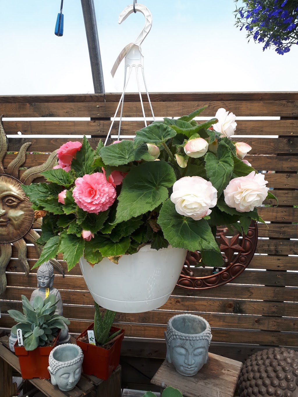 Lowland Gardens | 8844 Nova Scotia Trunk 2, Great Village, NS B0M 1L0, Canada | Phone: (902) 668-2309