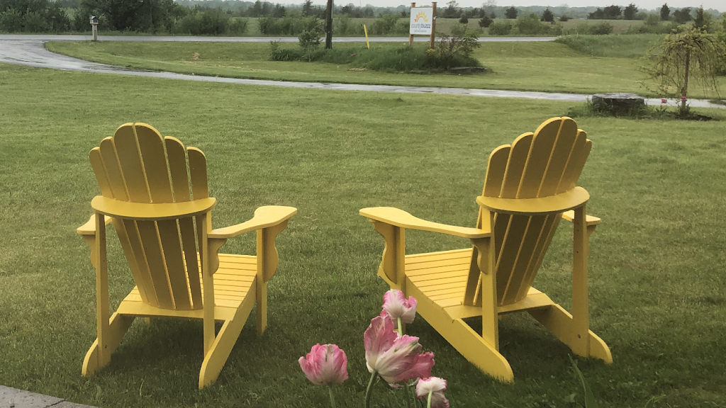 County Buzzz Bed & Breakfast | 19039 Loyalist Pkwy, Consecon, ON K0K 1T0, Canada | Phone: (647) 233-5123