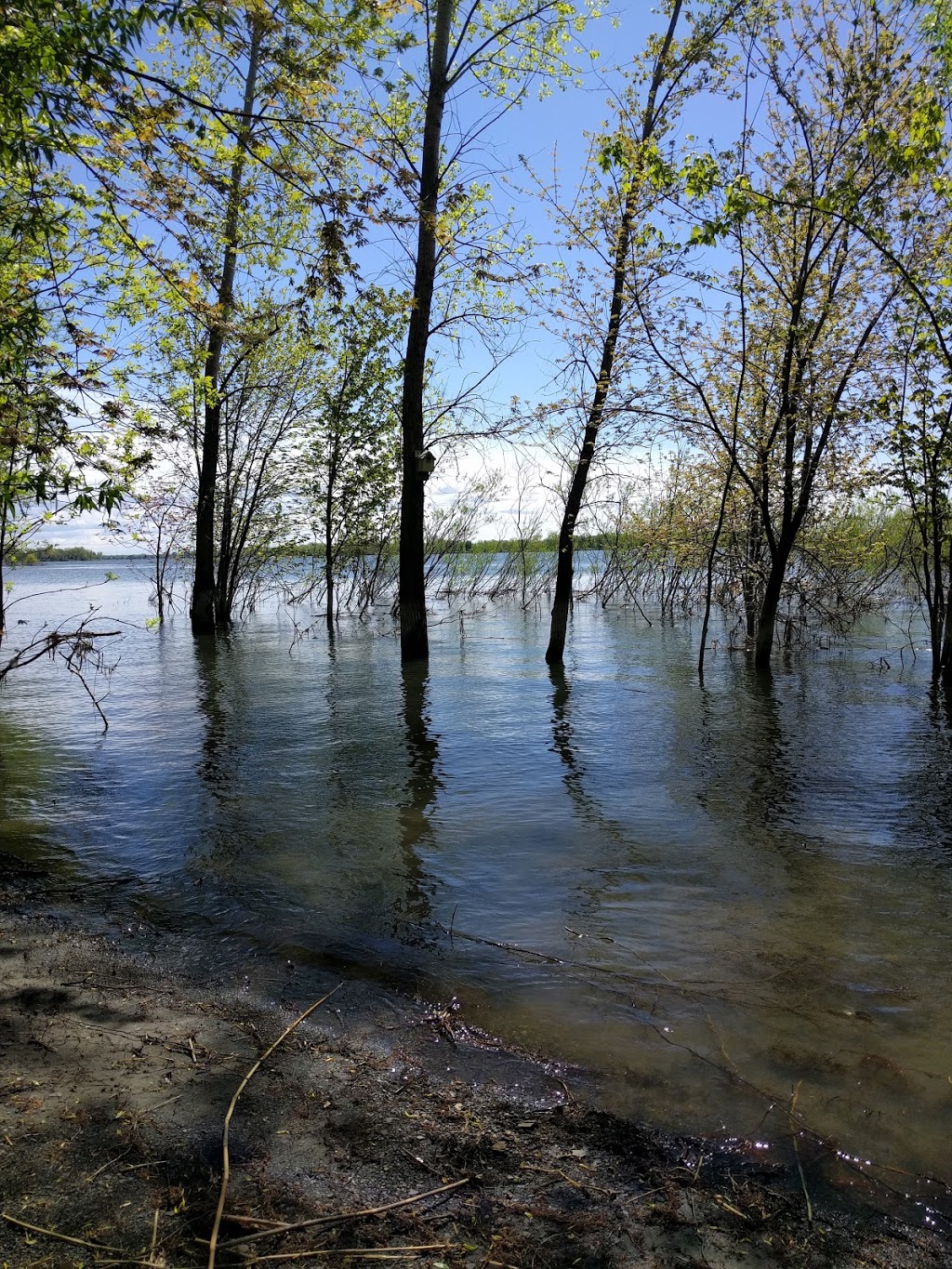 Sails Park | Boulevard Marie-Victorin, Boucherville, QC J4B 0B6, Canada