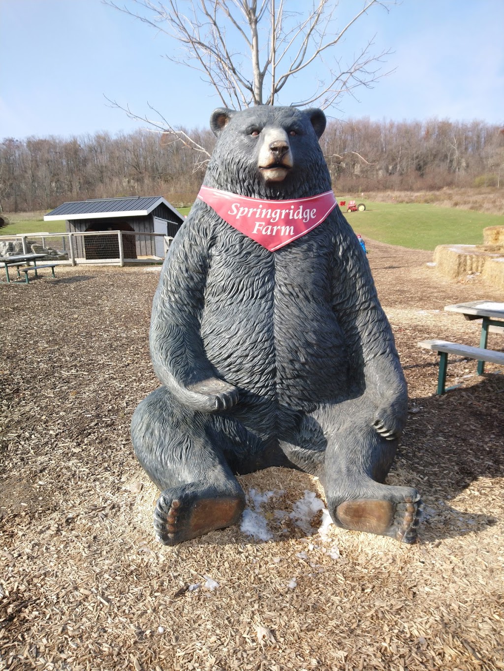 Springridge Farm | 7256 Bell School Line, Milton, ON L9E 0N7, Canada | Phone: (905) 878-4908