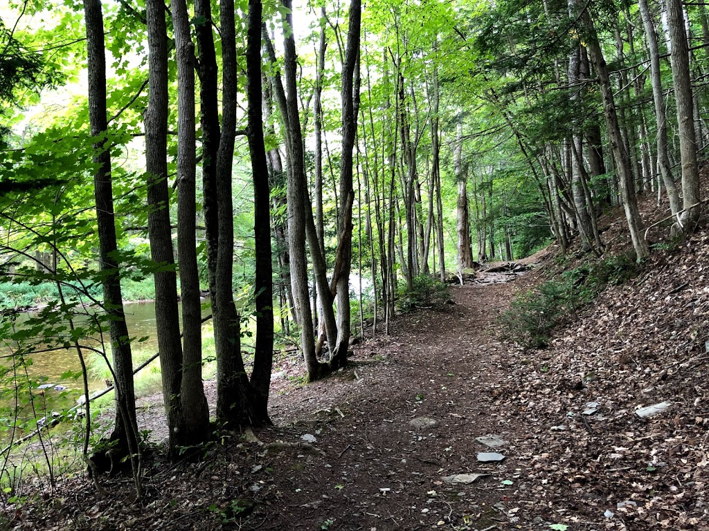 White Rock River Hike | Deep Hollow Rd, Wolfville, NS B4P 2R2, Canada | Phone: (902) 476-1613