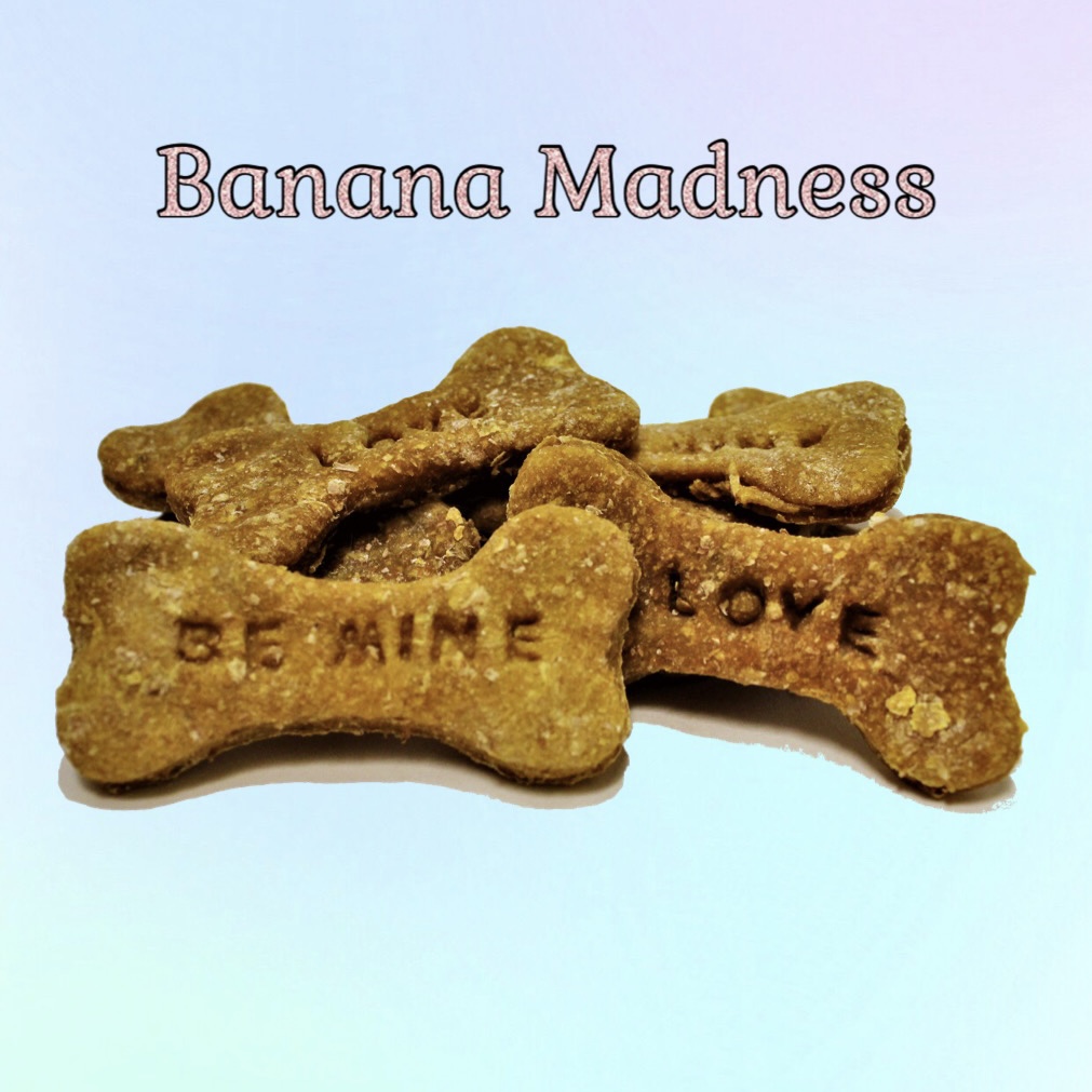 Kaits Pawsome Delights | Trudell Bay, Winnipeg, MB R2C 4X6, Canada | Phone: (204) 899-0332