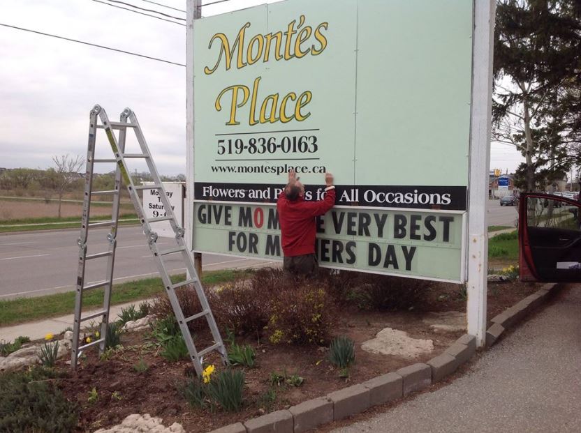 Montes Place Ltd | 1270 Gordon St, Guelph, ON N1L 1H3, Canada | Phone: (519) 836-0163