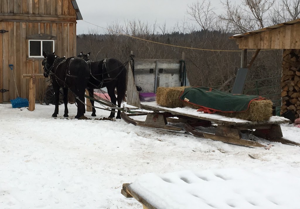 Windy Willow Ranch | 916 Ch du 4e-Rang, LIsle-aux-Allumettes, QC J0X 1M0, Canada | Phone: (819) 923-0654