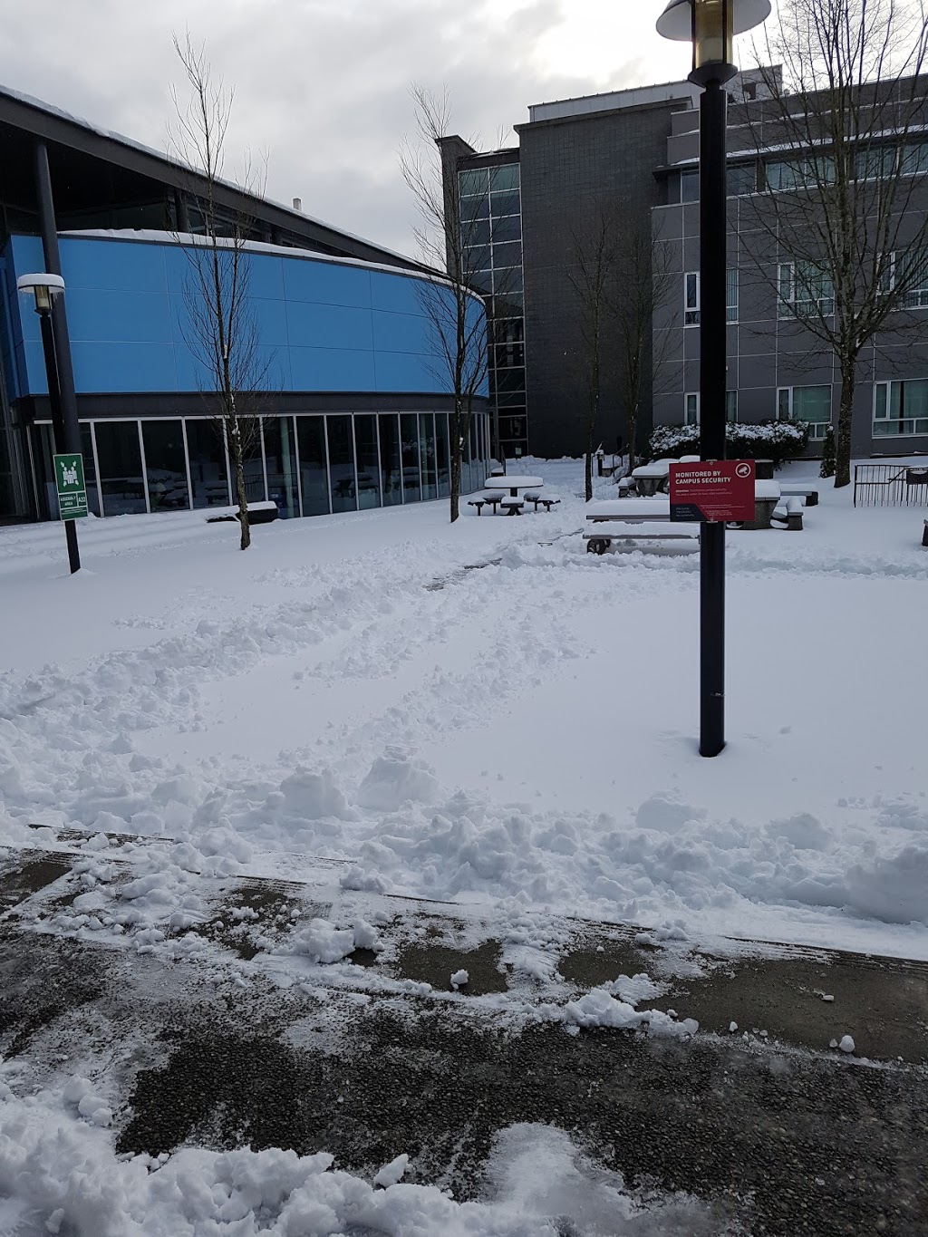 Kwantlen Polytechnic University | 12666 72 Ave, Surrey, BC V3W 2M8, Canada | Phone: (604) 599-2100