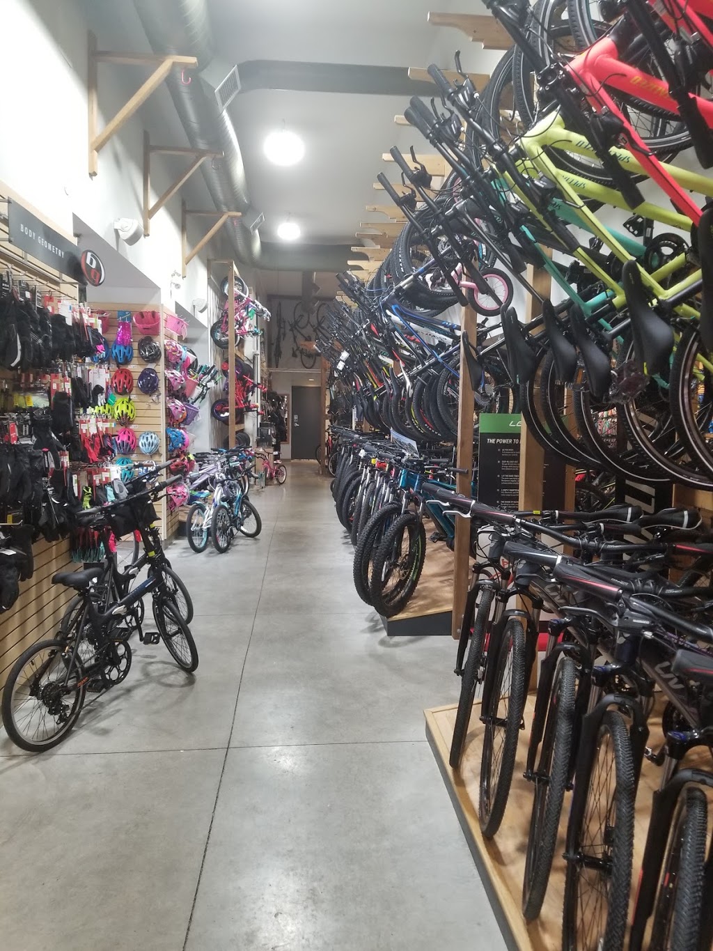 GEARS Bike Shop | 176 Lakeshore Rd W, Mississauga, ON L5H 1G4, Canada | Phone: (905) 271-2400