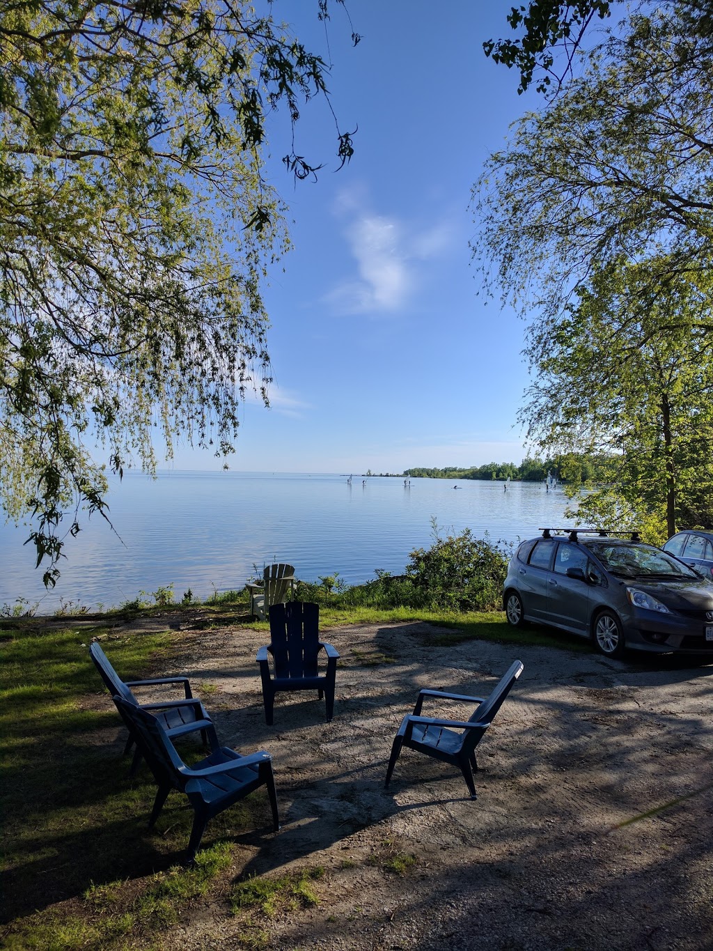The Water Rat Sailing Club | 4 Regatta Rd, Toronto, ON M5A 0H0, Canada | Phone: (416) 712-7444