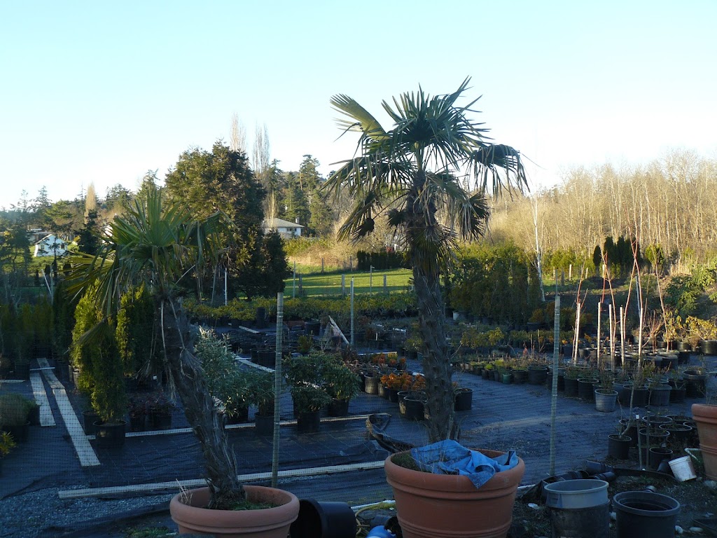 Lazaro Landscaping | 4031 Blenkinsop Rd, Victoria, BC V8X 2C1, Canada | Phone: (250) 858-0377