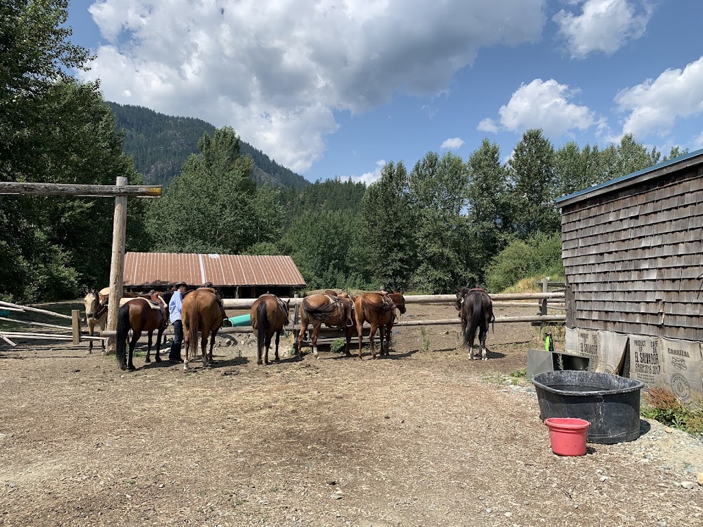 Adventures On Horseback | 7476 Prospect St, Pemberton, BC V0N 2L0, Canada | Phone: (604) 894-6269