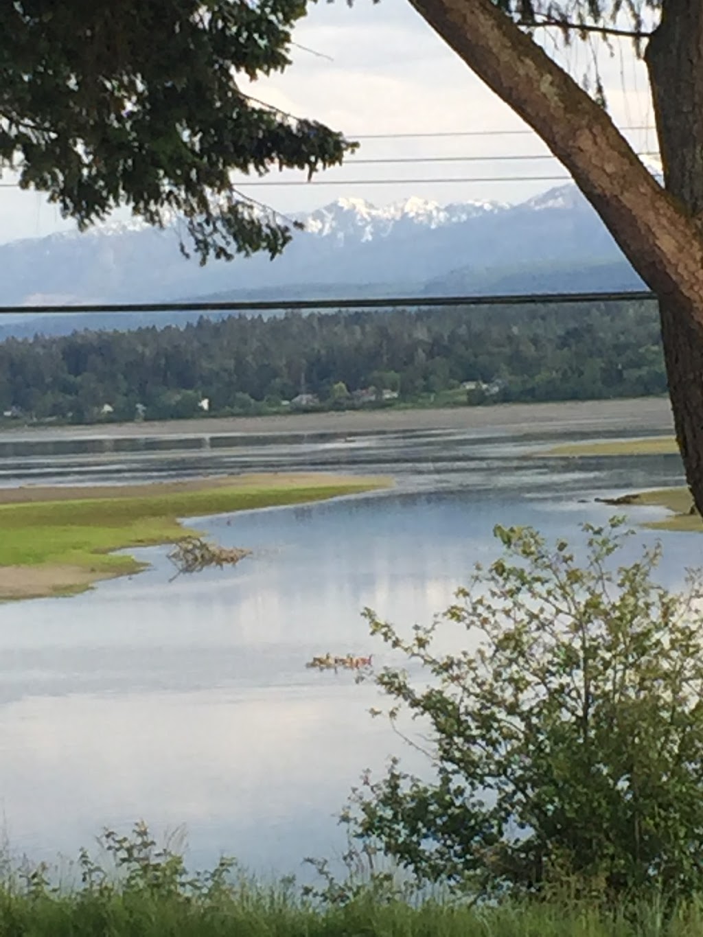 Estuary House | 2810 Comox Rd, Courtenay, BC V9N 3P6, Canada | Phone: (888) 768-1234