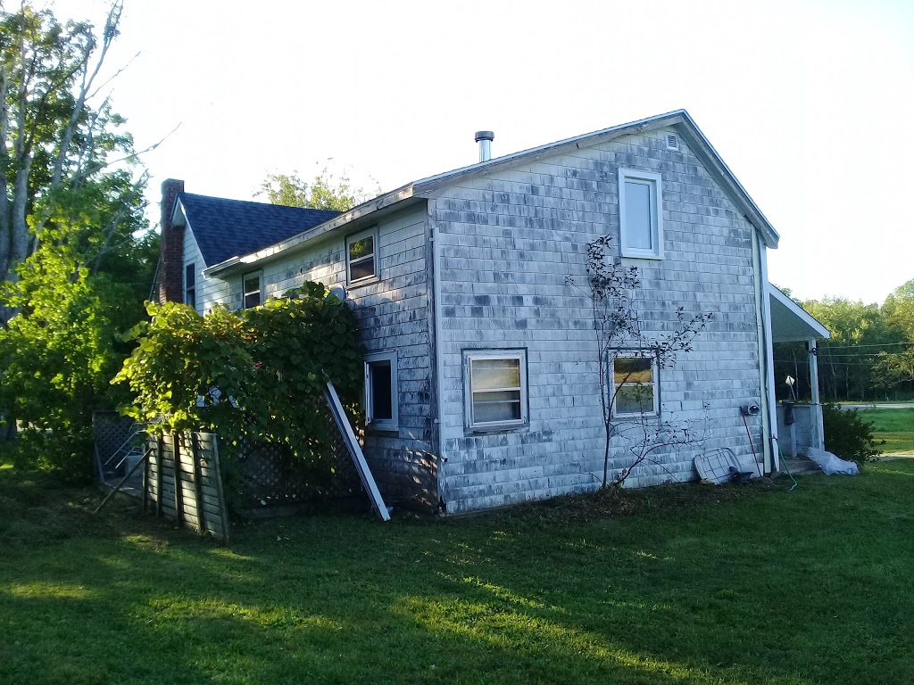 Play Photography | 496 Steadman Rd, Kentville, NS B4N 3V7, Canada | Phone: (902) 698-9974