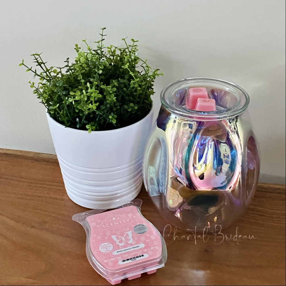 Chantal Brideau conseillère indépendante Scentsy | 100 Rue de Miramas, Terrebonne, QC J6Y 0G4, Canada | Phone: (438) 925-0710