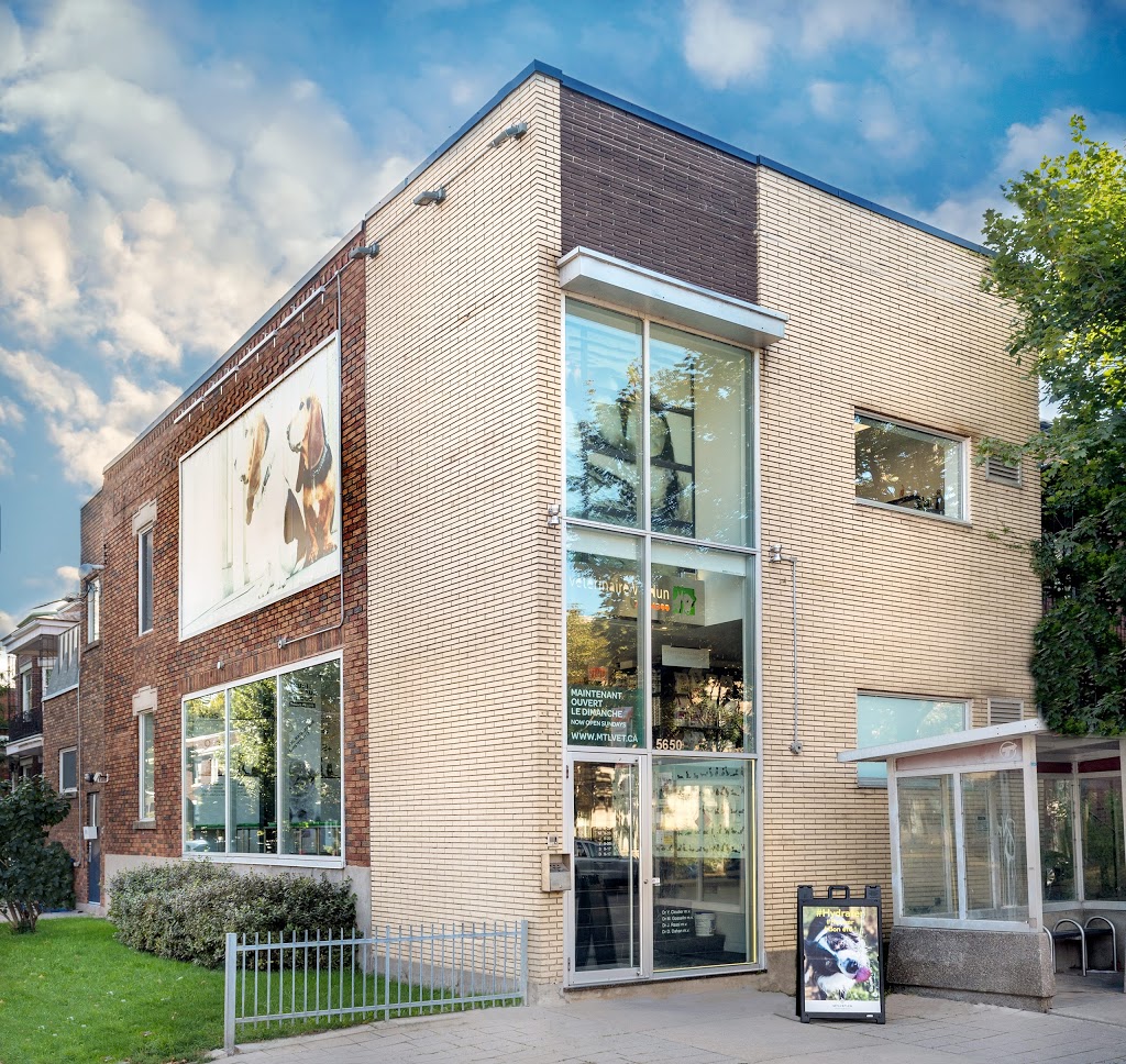Hôpital Vétérinaire Verdun | 5650 Rue de Verdun, Verdun, QC H4H 1L5, Canada | Phone: (514) 762-4300