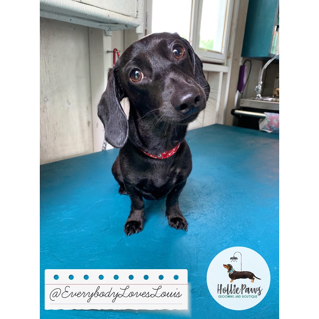 HolliePaws Grooming and Boutique | 4142 Newtonville Rd, Newtonville, ON L0A 1J0, Canada | Phone: (905) 243-6944