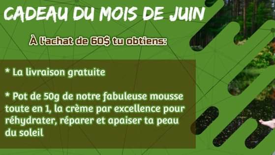 Astuces Nature | 1009 Rue Saint Georges, Saint-Bernard, QC G0S 2G0, Canada | Phone: (418) 209-2705
