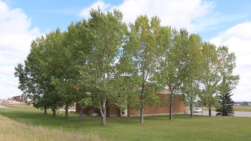 Living Springs Christian Fellowship | 2304 Yankee Valley Boulevard Southwest, Airdrie, AB T4B 0R7, Canada | Phone: (403) 948-7724