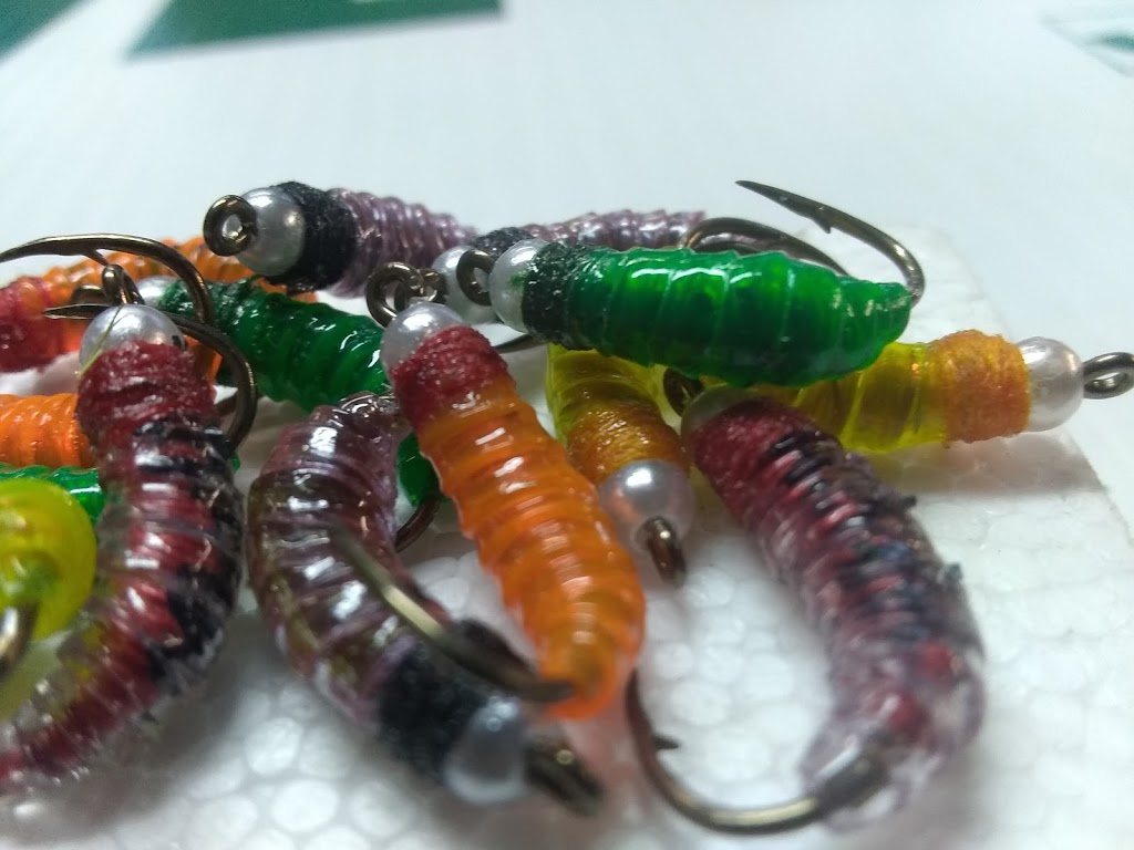 Westend Live Bait | 11B Gordon MacKay Rd, North York, ON M9N 2V5, Canada | Phone: (416) 248-2248