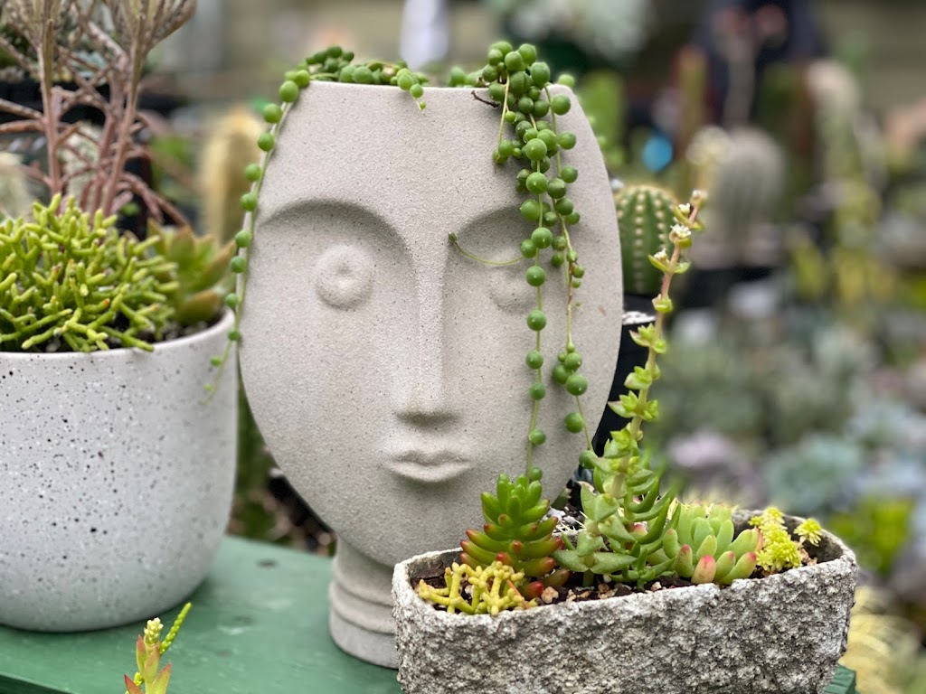 The Planted Farm | Succulents Victoria | 1340 Wain Rd, North Saanich, BC V8L 5V1, Canada | Phone: (250) 893-3547