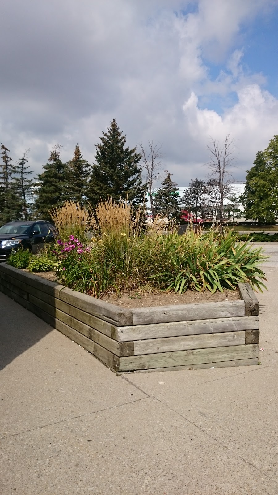 Dentistry On Matheson | 49 Matheson Blvd E, Mississauga, ON L4Z 2Y5, Canada | Phone: (905) 712-3883