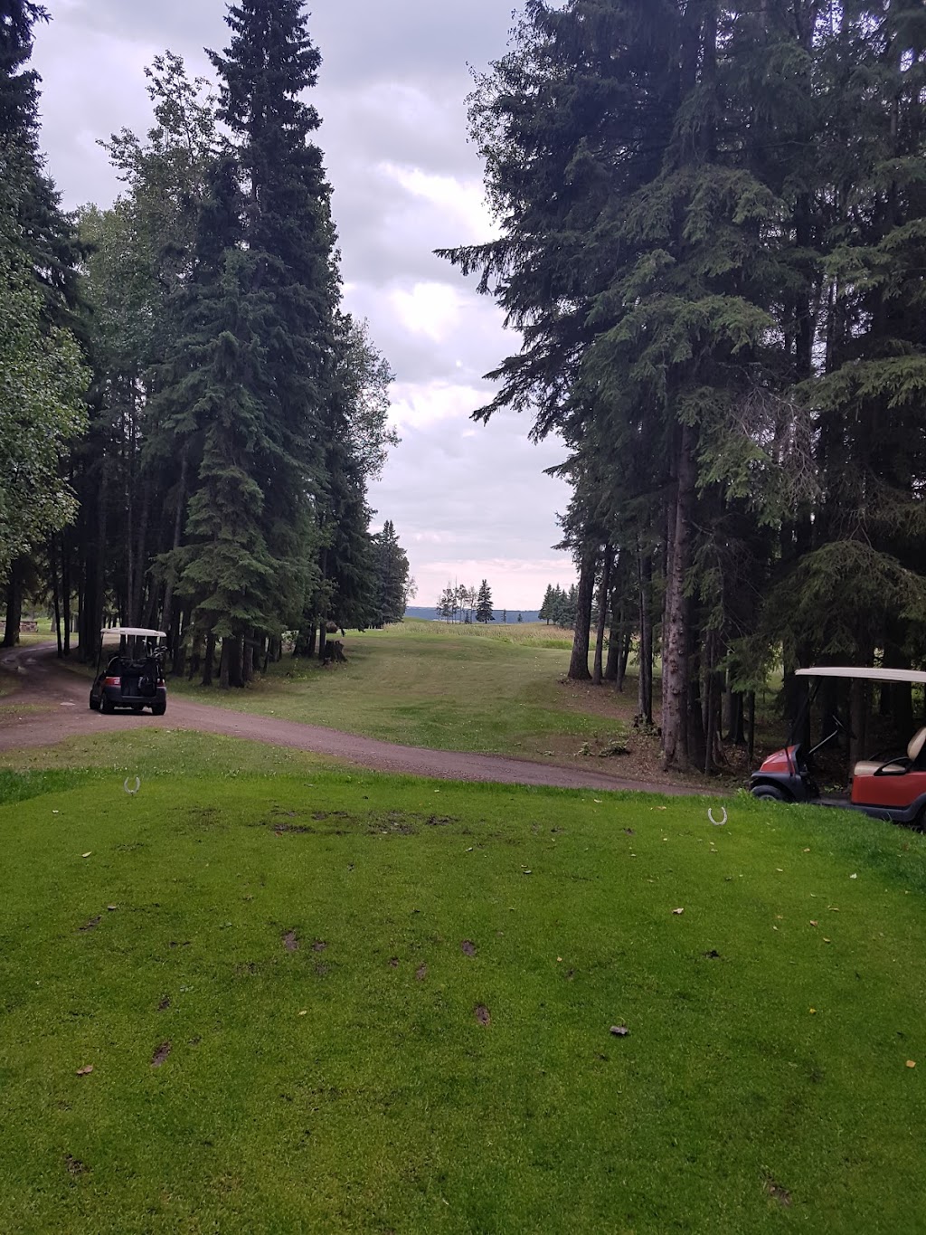 Dorchester Ranch Golf Course | Range Rd 11, Westerose, AB T0C 2V0, Canada | Phone: (780) 586-2350