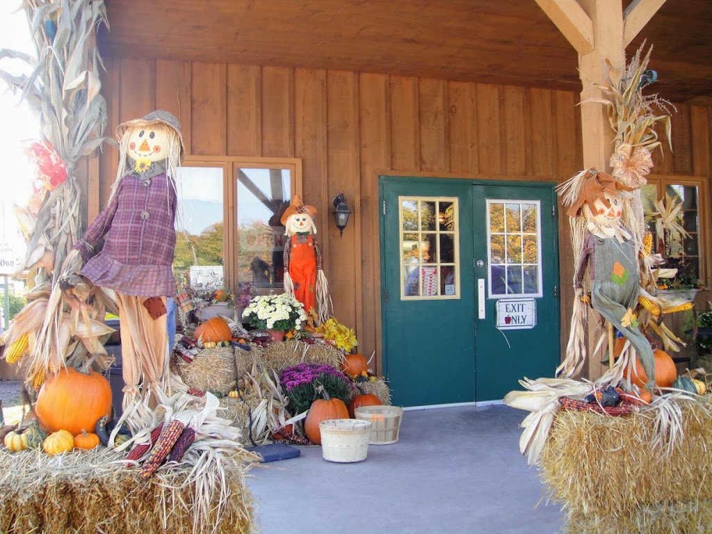 Carluke Orchards | 2194 Shaver Rd, Ancaster, ON L9G 3L1, Canada | Phone: (905) 648-2775
