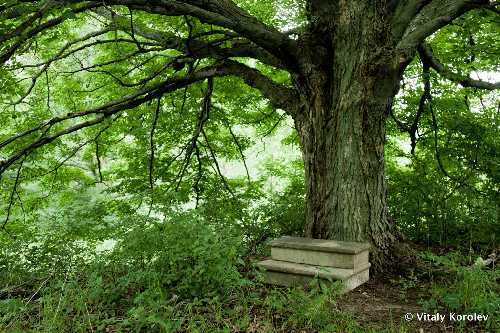 Glen Haffy Conservation Park | 19245 Airport Rd, Caledon East, ON L7K 2M9, Canada | Phone: (905) 584-2922