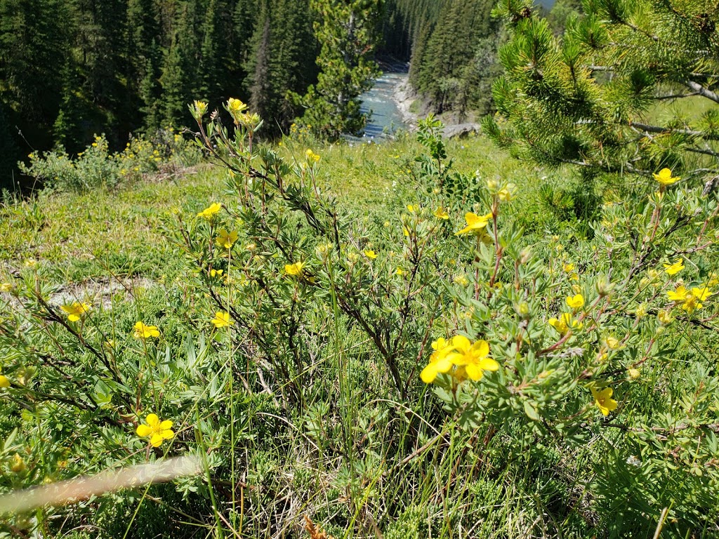 Greenford Provincial Recreation Area | Foothills No. 31, AB T0L 1H0, Canada | Phone: (403) 591-7226