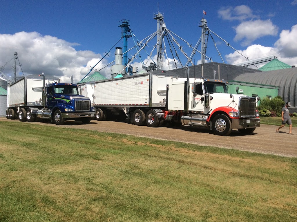 Ferguson Bros. of St. Thomas | 43850 Ferguson Line, St Thomas, ON N5P 3T1, Canada | Phone: (519) 631-3463