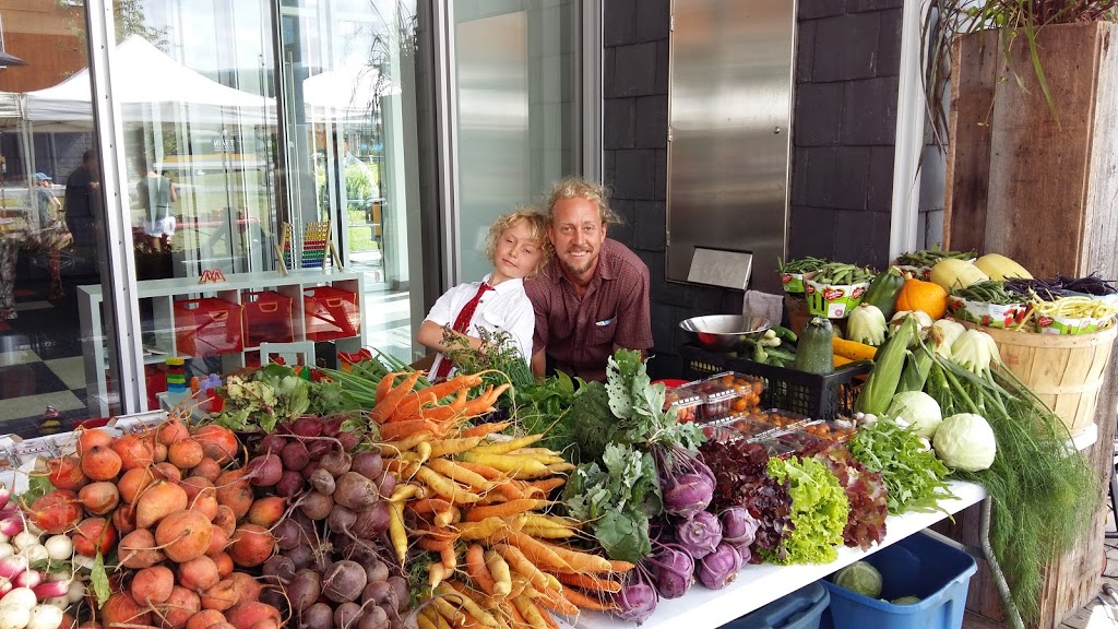 Les Jardins Echo Logiques | 291 Rue Principale, Saint-Aimé-des-Lacs, QC G0T 1S0, Canada | Phone: (418) 439-1098