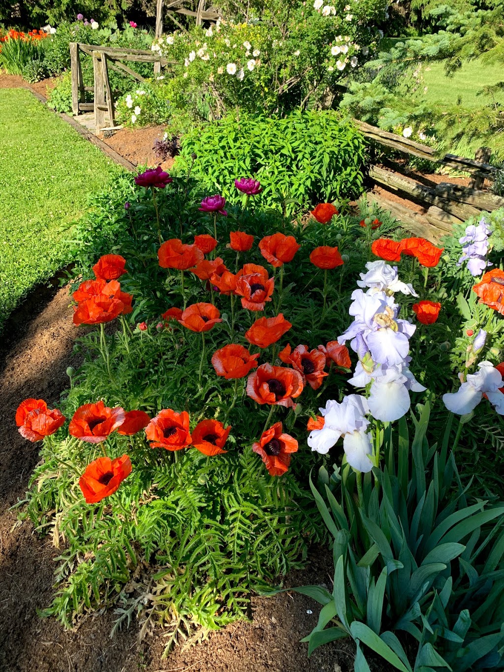 Live Landscape Design Build | 4233 Perth Rd 180, Dublin, ON N0K 1E0, Canada | Phone: (519) 949-3444