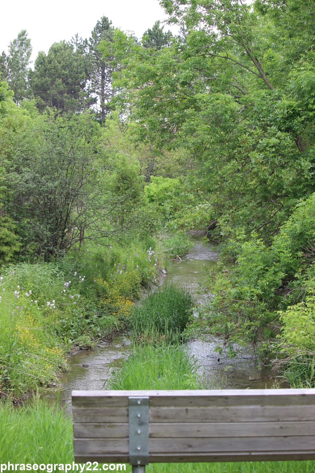 Craddock Park | Aurora, ON L4G 7G8, Canada