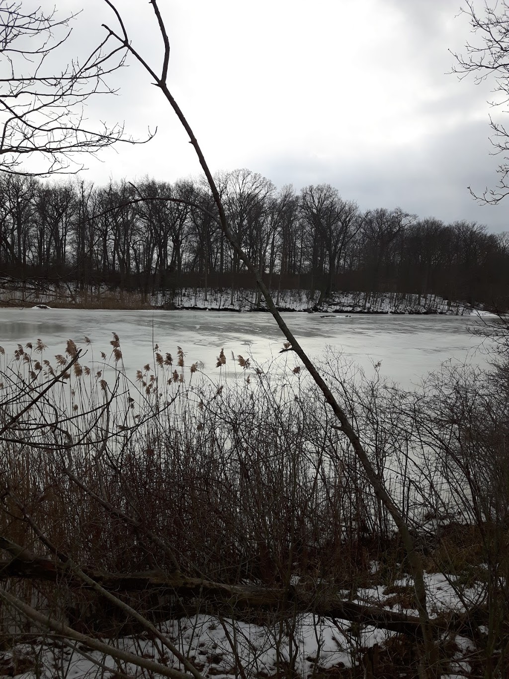 Cedar Creek Conservation Area | Essex, ON N9Y 2E6, Canada | Phone: (519) 776-5209