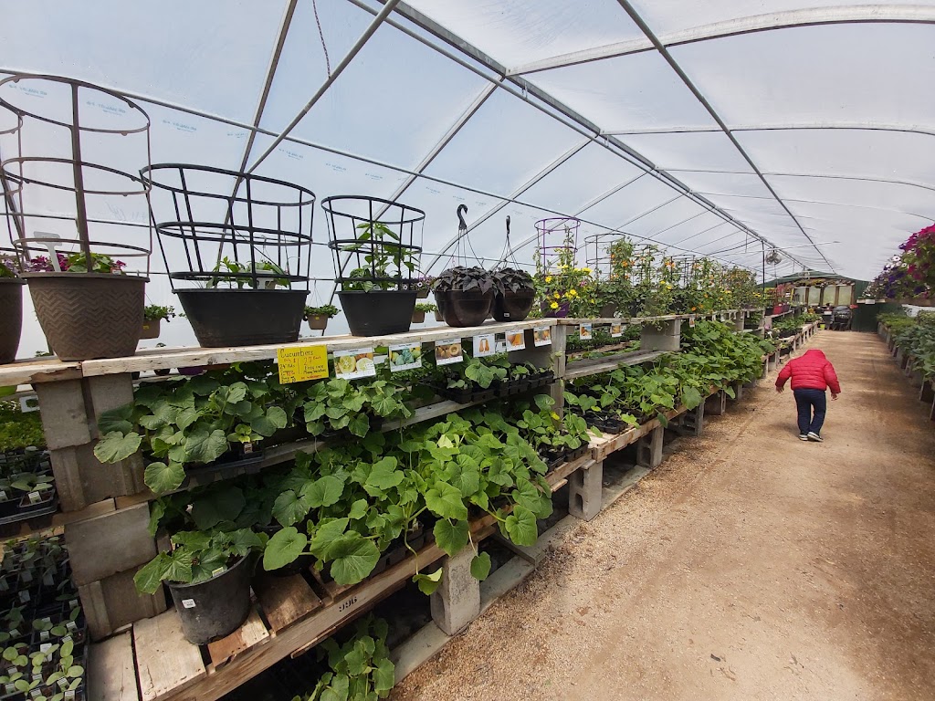 Falk Nurseries | 23062 PR 311, New Bothwell, MB R0A 1C0, Canada | Phone: (204) 388-4927