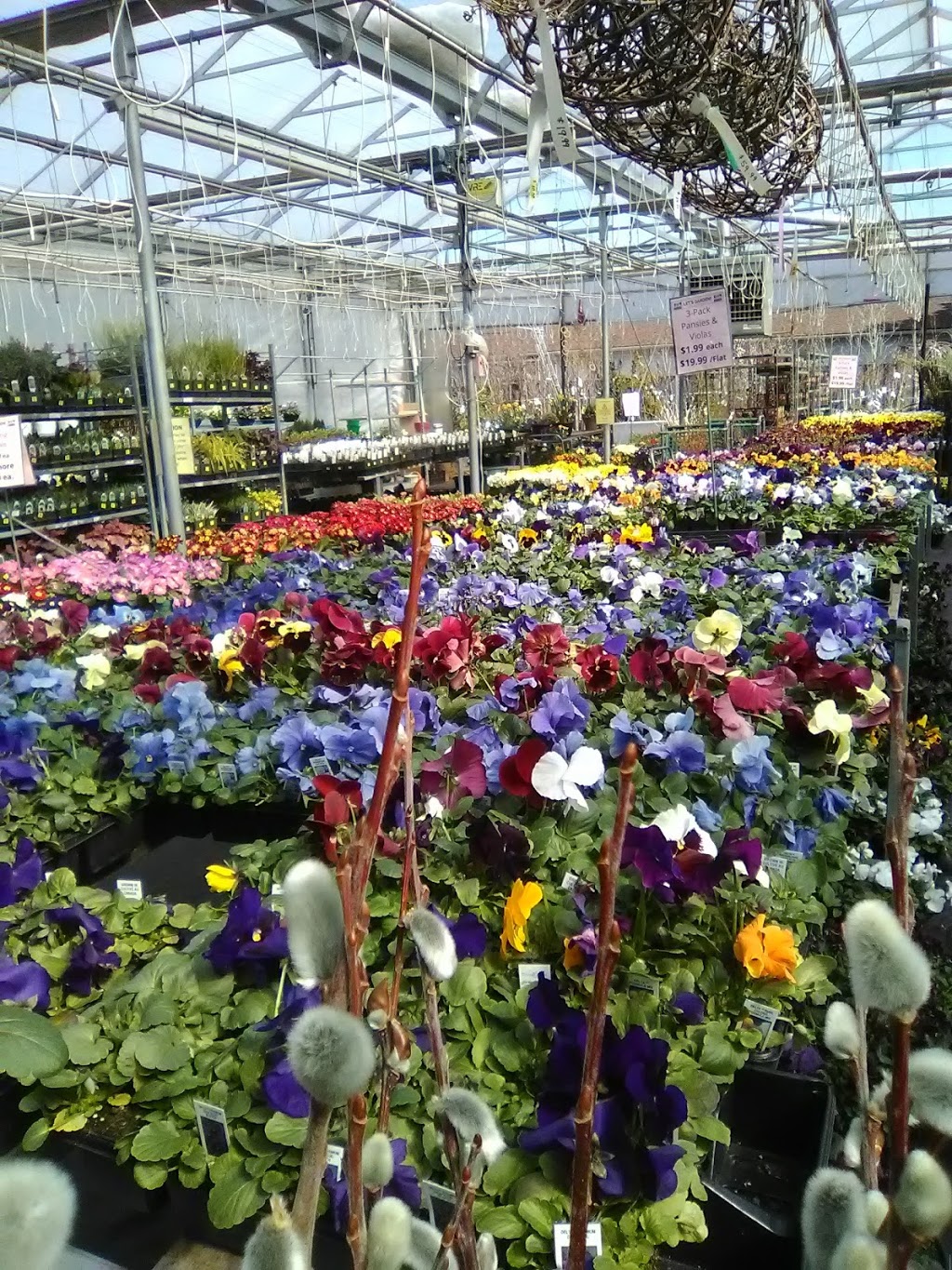 Coles Florist & Garden Centre | 147 Main St E, Grimsby, ON L3M 1P2, Canada | Phone: (905) 945-2219