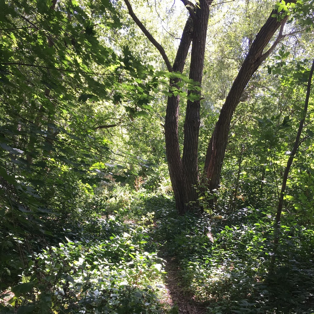 Eglinton Ravine Park | 138 Woodfern Dr, Scarborough, ON M1K 2L5, Canada