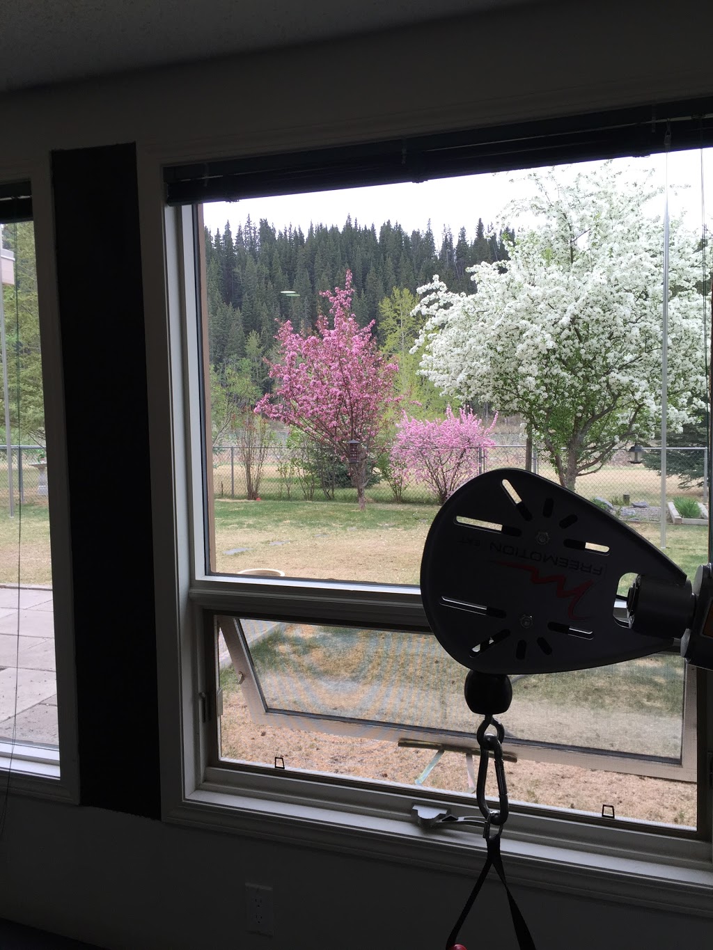 BODYCONNECT Exercise & Lifestyle Coaching | 72 Riverview Cir, Cochrane, AB T4C 1K3, Canada | Phone: (587) 225-5522