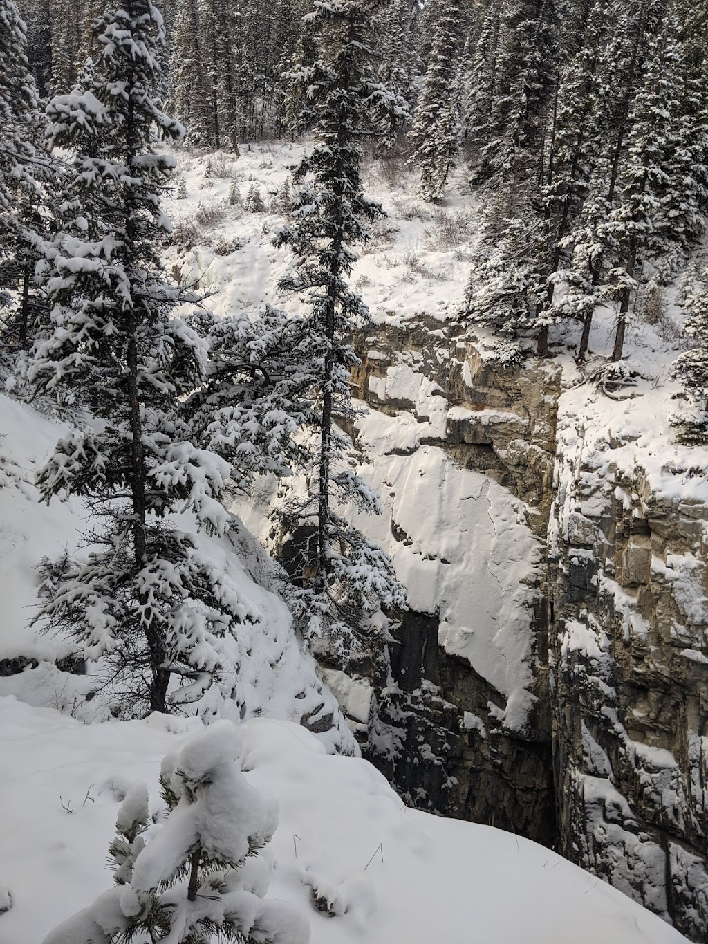 Nordegg Adventures | 4 Stuart St, Nordegg, AB T0M 2H0, Canada | Phone: (877) 907-6071